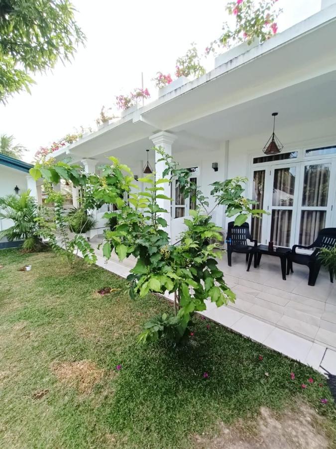 The Bamboo Tree Transit Hotel คาตุนายากา ภายนอก รูปภาพ