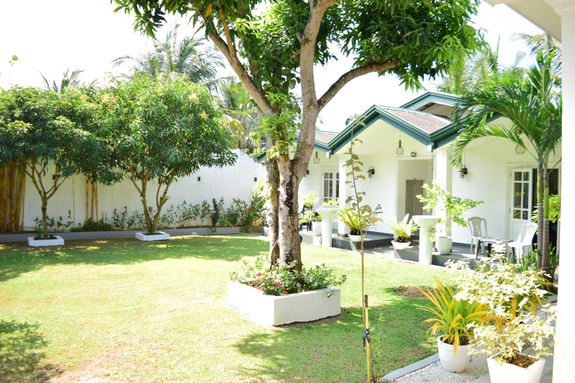 The Bamboo Tree Transit Hotel คาตุนายากา ภายนอก รูปภาพ