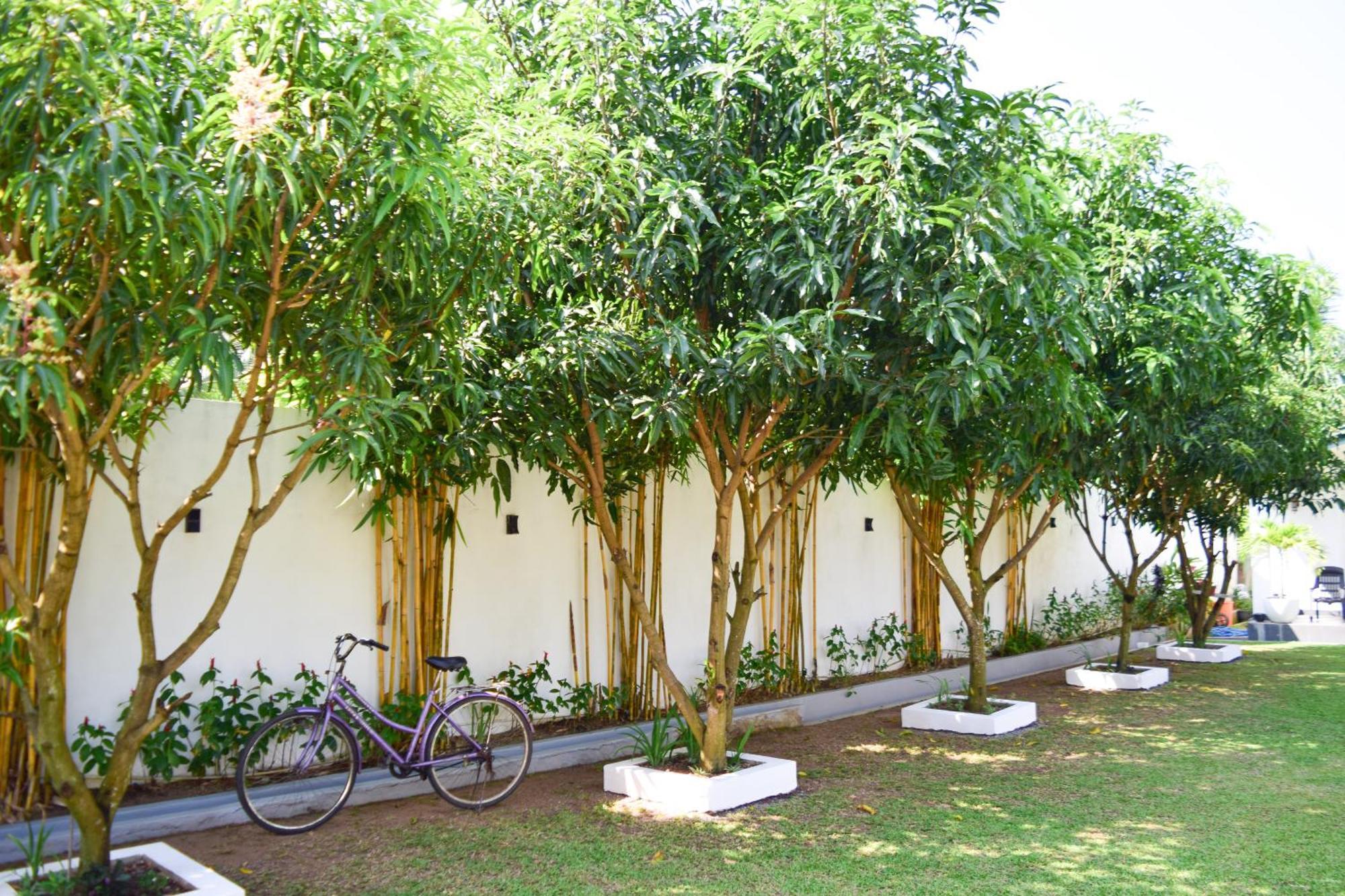 The Bamboo Tree Transit Hotel คาตุนายากา ภายนอก รูปภาพ